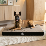 Materassino ortopedico Memory Foam Beige taglia L