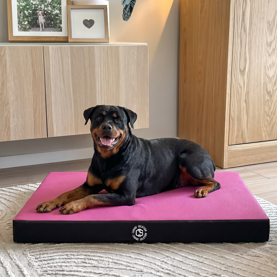 Materassino ortopedico Memory Foam Rosa taglia L - Rosa / L 117x87cm