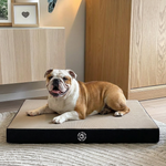 Materassino ortopedico Memory Foam Beige taglia M
