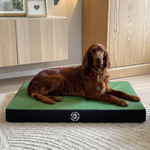 Materassino ortopedico Memory Foam Verde taglia M