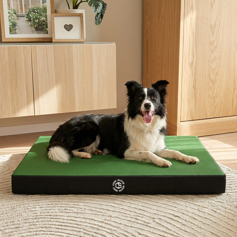 Materassino ortopedico Memory Foam Verde taglia S - Verde / S 92x62cm