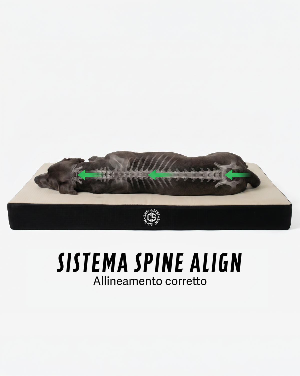 Sistema spine align materassino ortopedico
