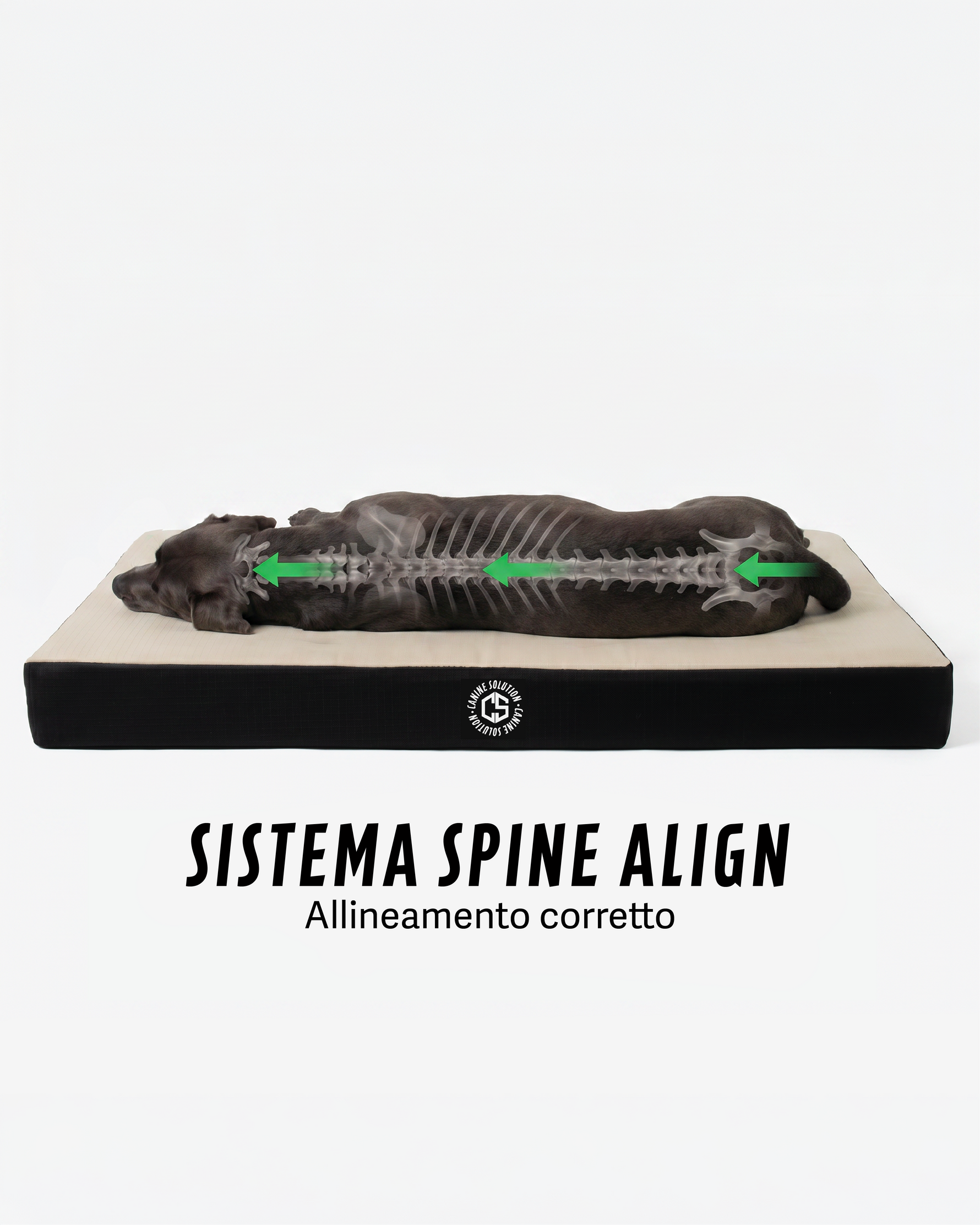 Sistema spine align materassino ortopedico